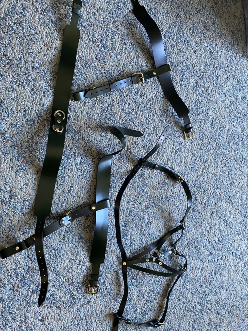 Dark Green Leather Strappy Body Harness Set